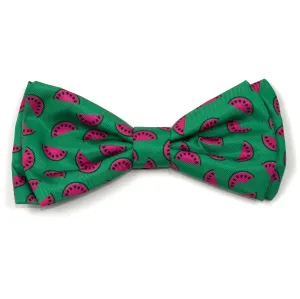 Bow Tie | Watermelon